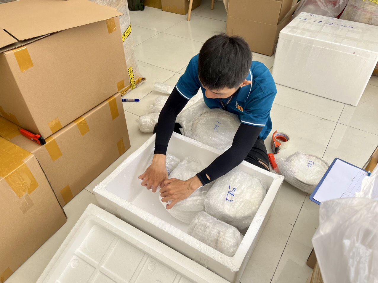 gửi hàng đi châu Âu bằng đường biển